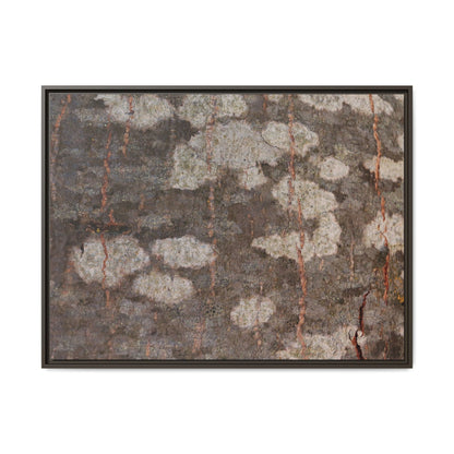 Lichen's Legacy - Unique Stretched Canvas Wall Art