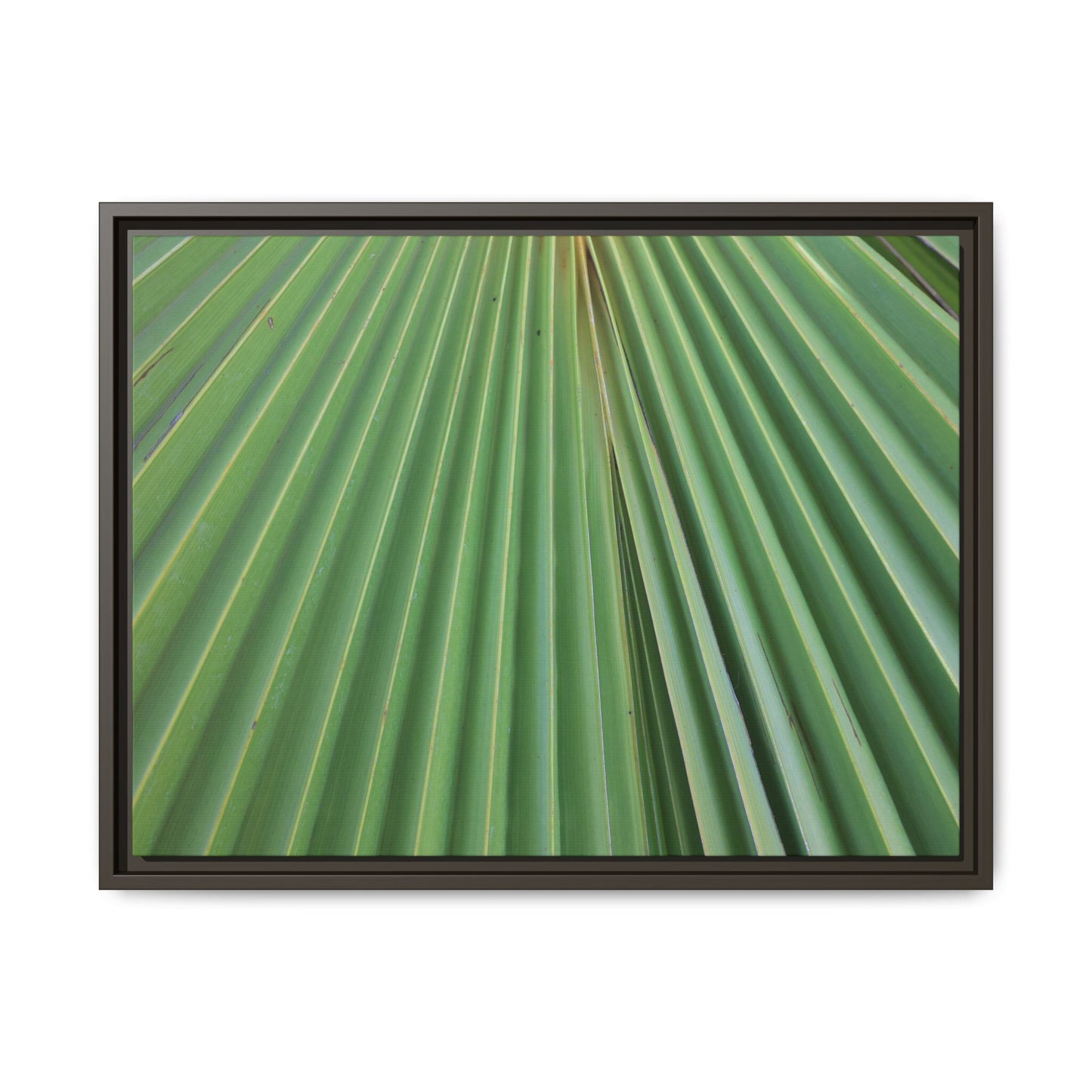 Verdant Veins - Unique Stretched Canvas Wall Art