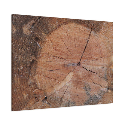 Timber Tale - Unique Frameless Canvas Wall Art