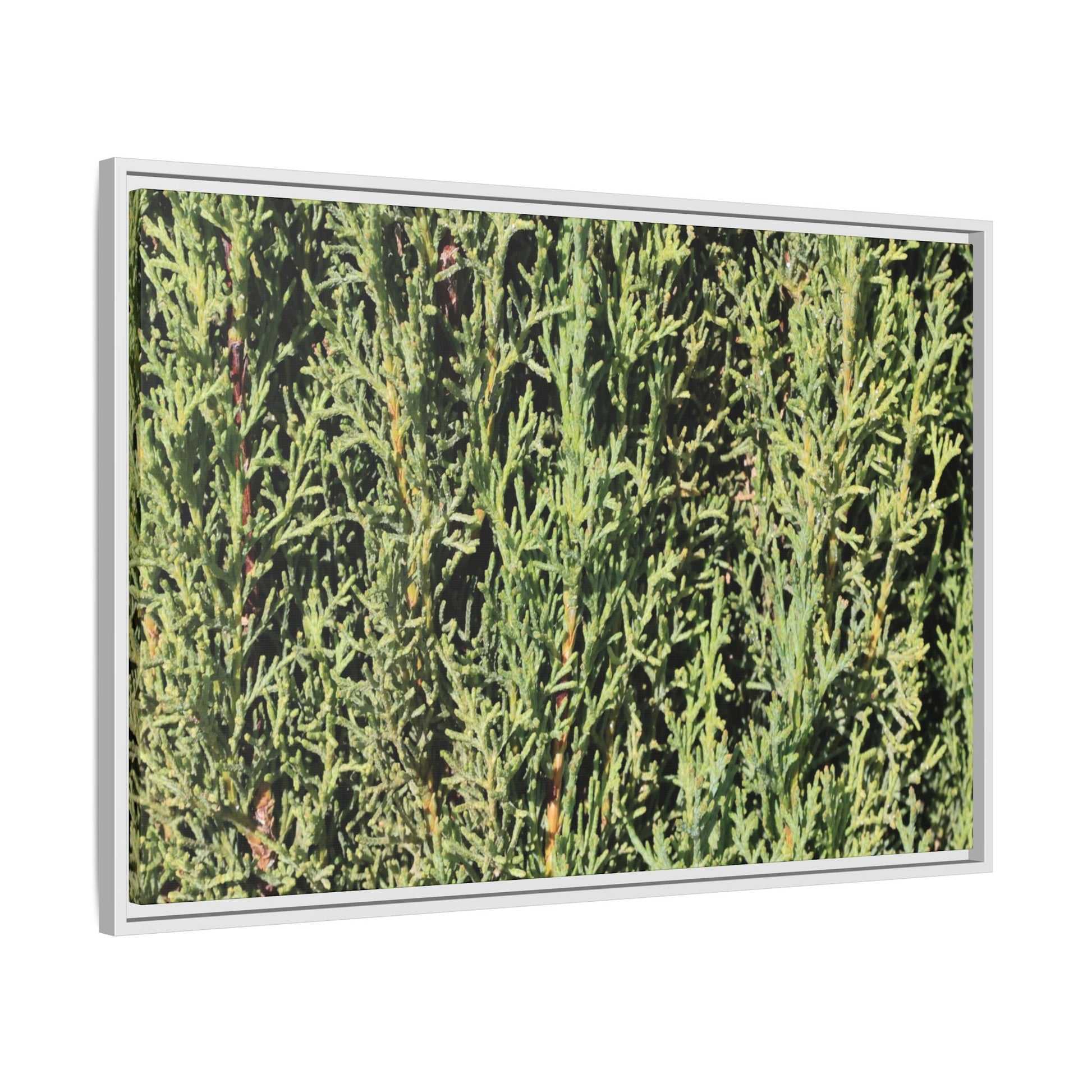 Emerald Labyrinth - Unique Stretched Canvas Wall Art - Art By Earth