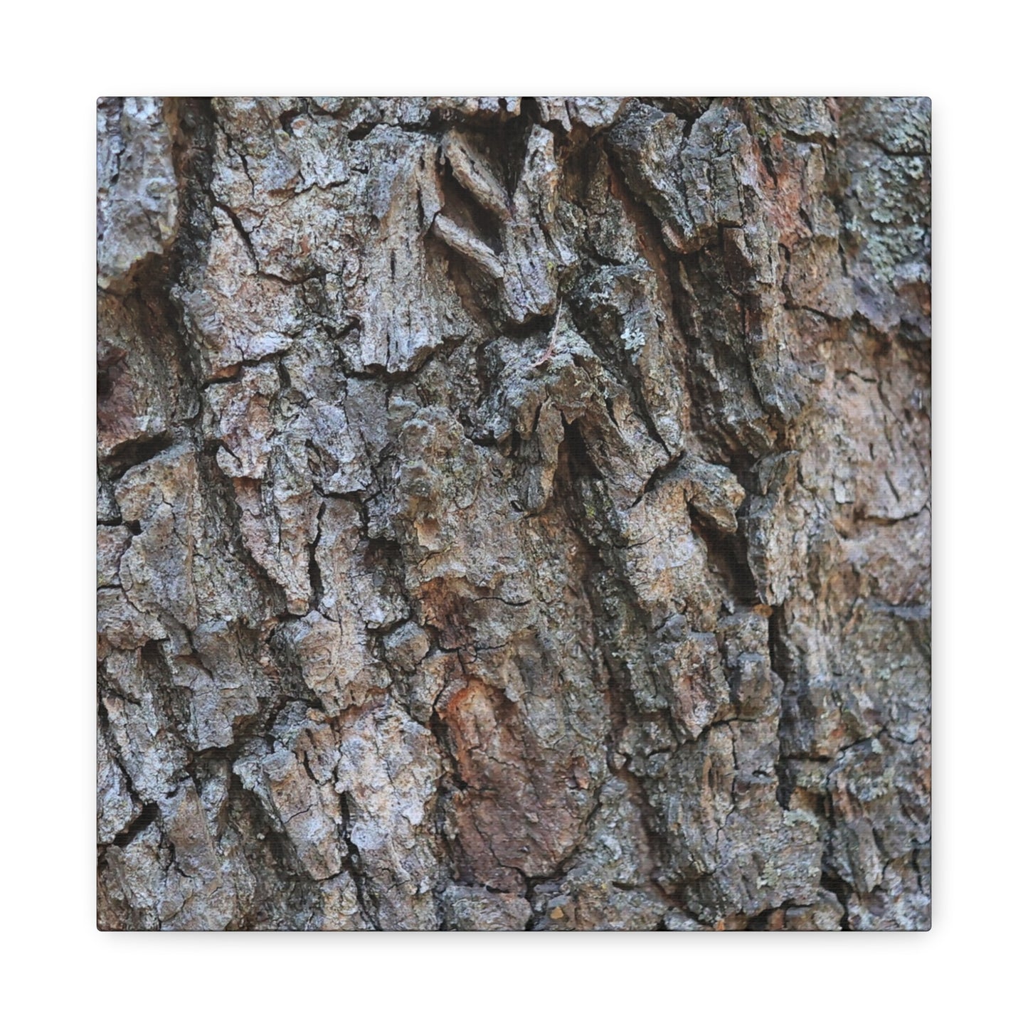 Rugged Canvas - Unique Frameless Canvas Wall Art