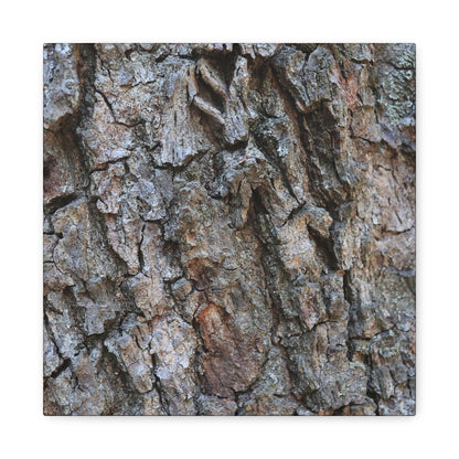 Rugged Canvas - Unique Frameless Canvas Wall Art