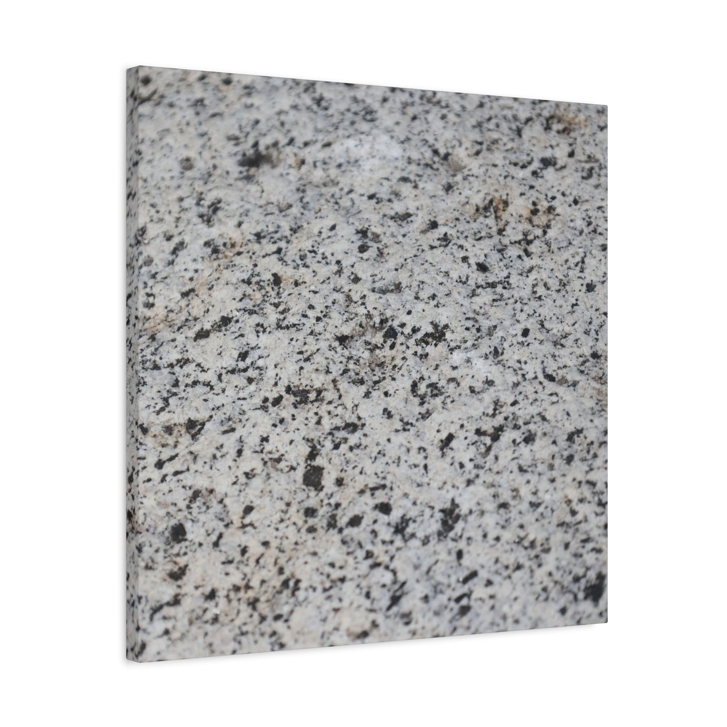 Speckled Silence - Unique Frameless Canvas Wall Art