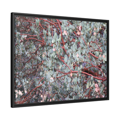 Whispers of Sage - Unique Stretched Canvas Wall Art