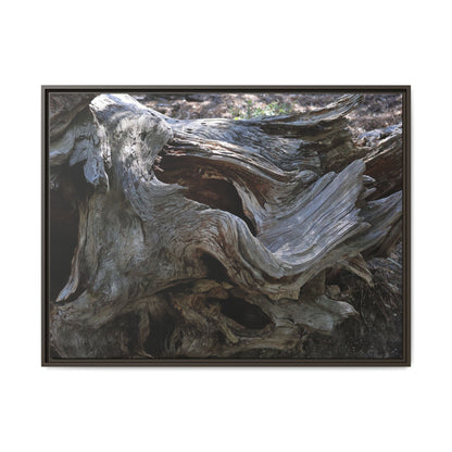 Twisted Memories - Unique Stretched Canvas Wall Art