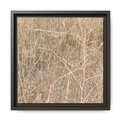 Golden Stalks - Unique Stretched Canvas Wall Art