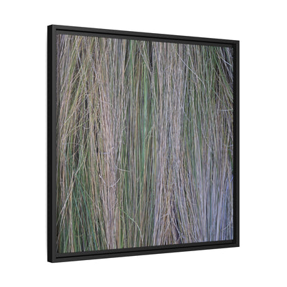 Whispers of Silver Grass - Unique Stretched Canvas Wall Art