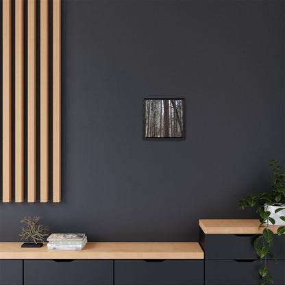 Forest Cathedral - Unique Stretched Canvas Wall Art