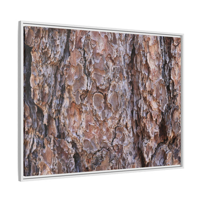 Woody Layers - Unique Stretched Canvas Wall Art