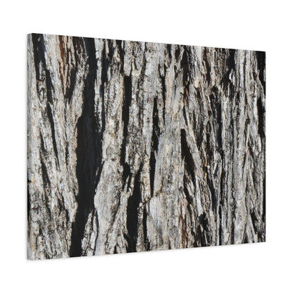 Bark Layers in Monochrome - Unique Frameless Canvas Wall Art