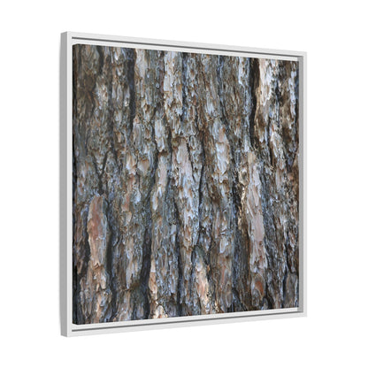 Bark Whispers - Unique Stretched Canvas Wall Art
