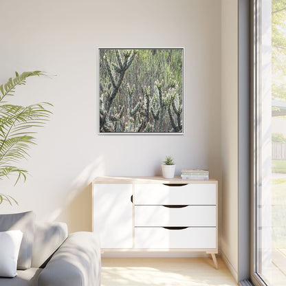 Prickly Paradise - Unique Stretched Canvas Wall Art