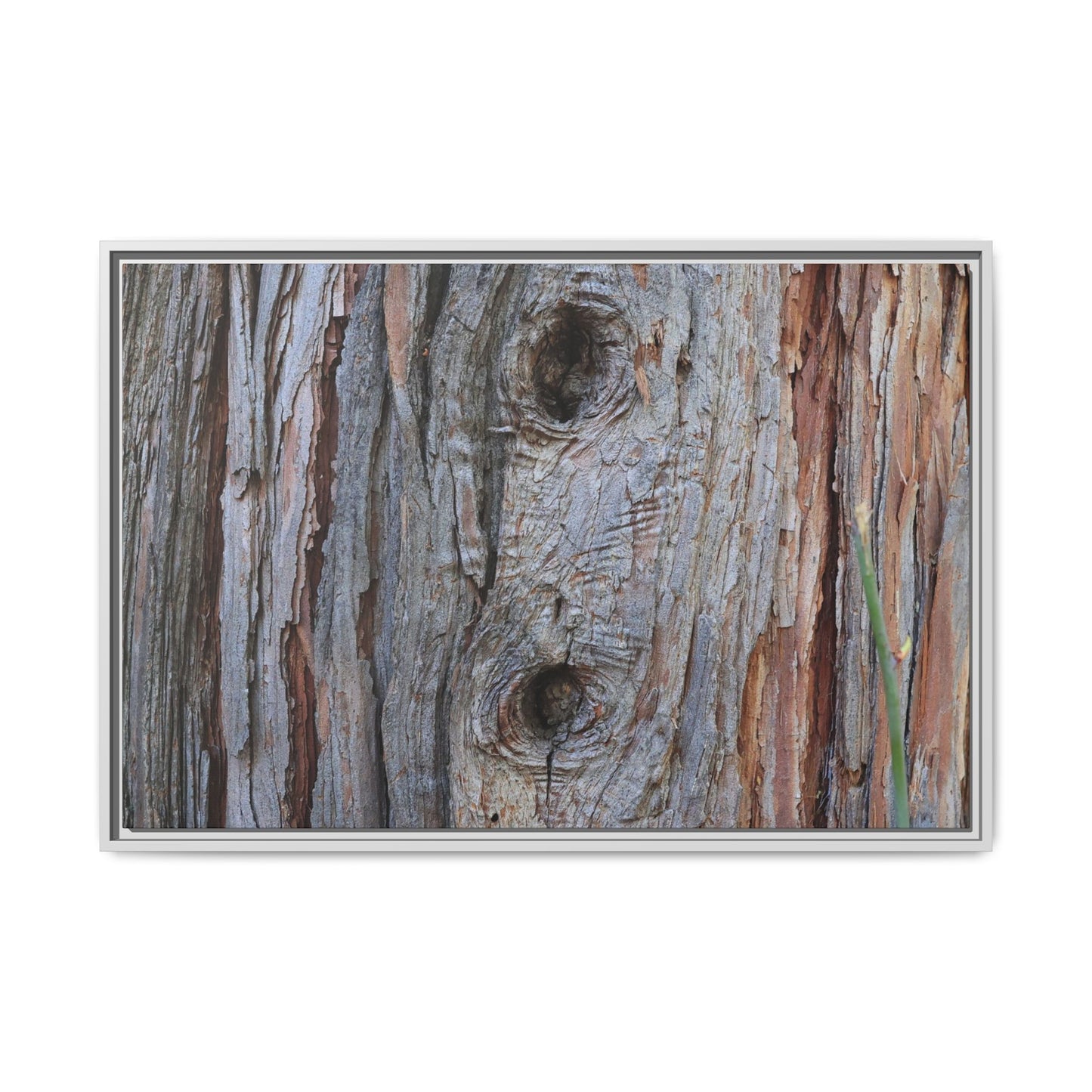 Knotty Nature - Unique Stretched Canvas Wall Art