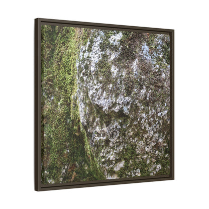 Lichen Landscape - Unique Stretched Canvas Wall Art