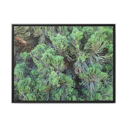 Verdant Whispers - Unique Stretched Canvas Wall Art