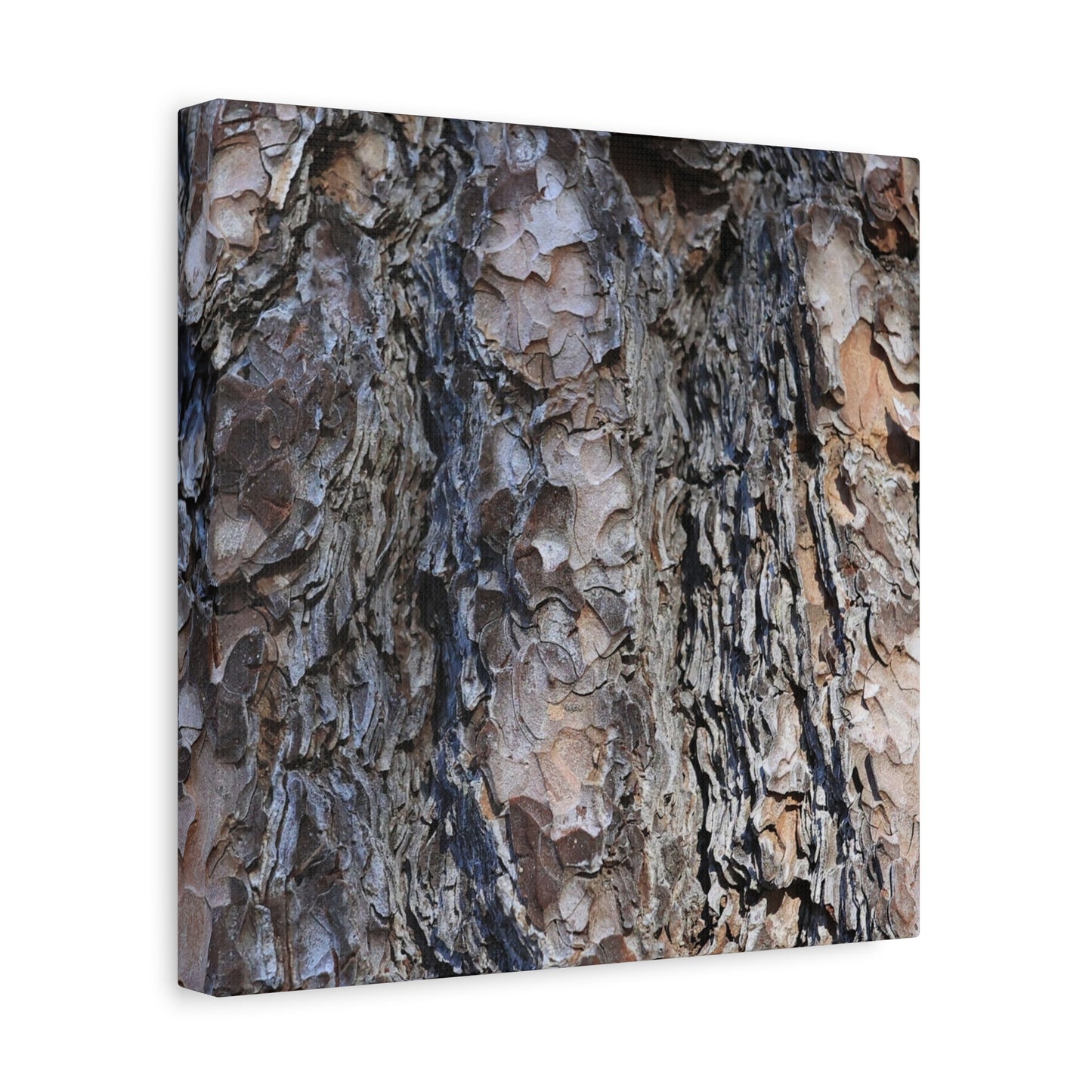 Bark's Rugged Symphony - Unique Frameless Canvas Wall Art