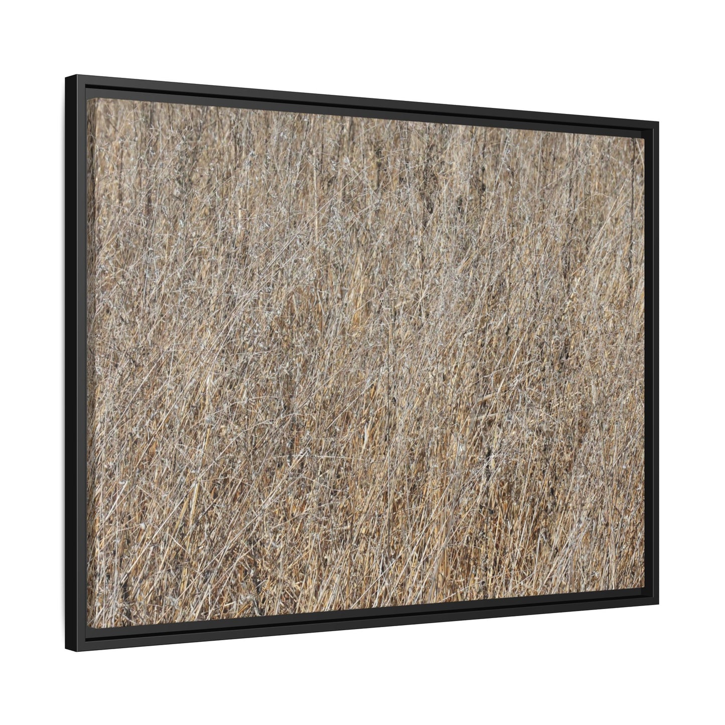 Dry Straw Symphony - Unique Stretched Canvas Wall Art - Art By Earth