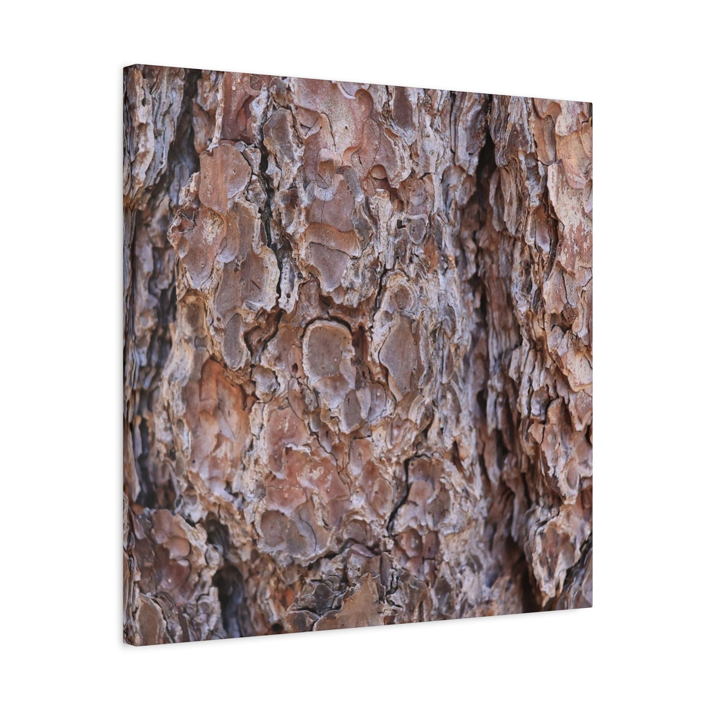 Rugged Bark Landscape - Unique Frameless Canvas Wall Art
