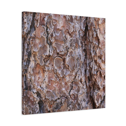 Rugged Bark Landscape - Unique Frameless Canvas Wall Art