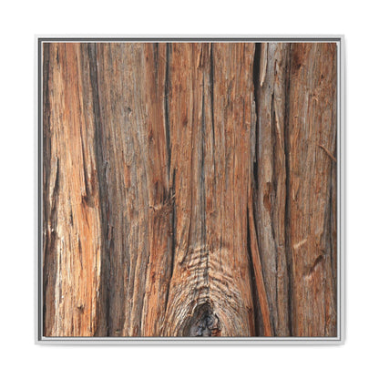 Echoes of Timber - Unique Stretched Canvas Wall Art