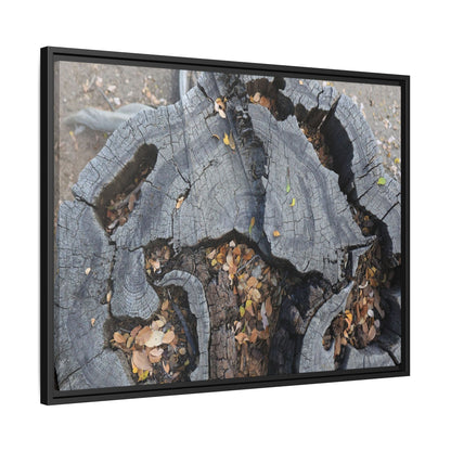 Time's Fractal Memory - Unique Stretched Canvas Wall Art