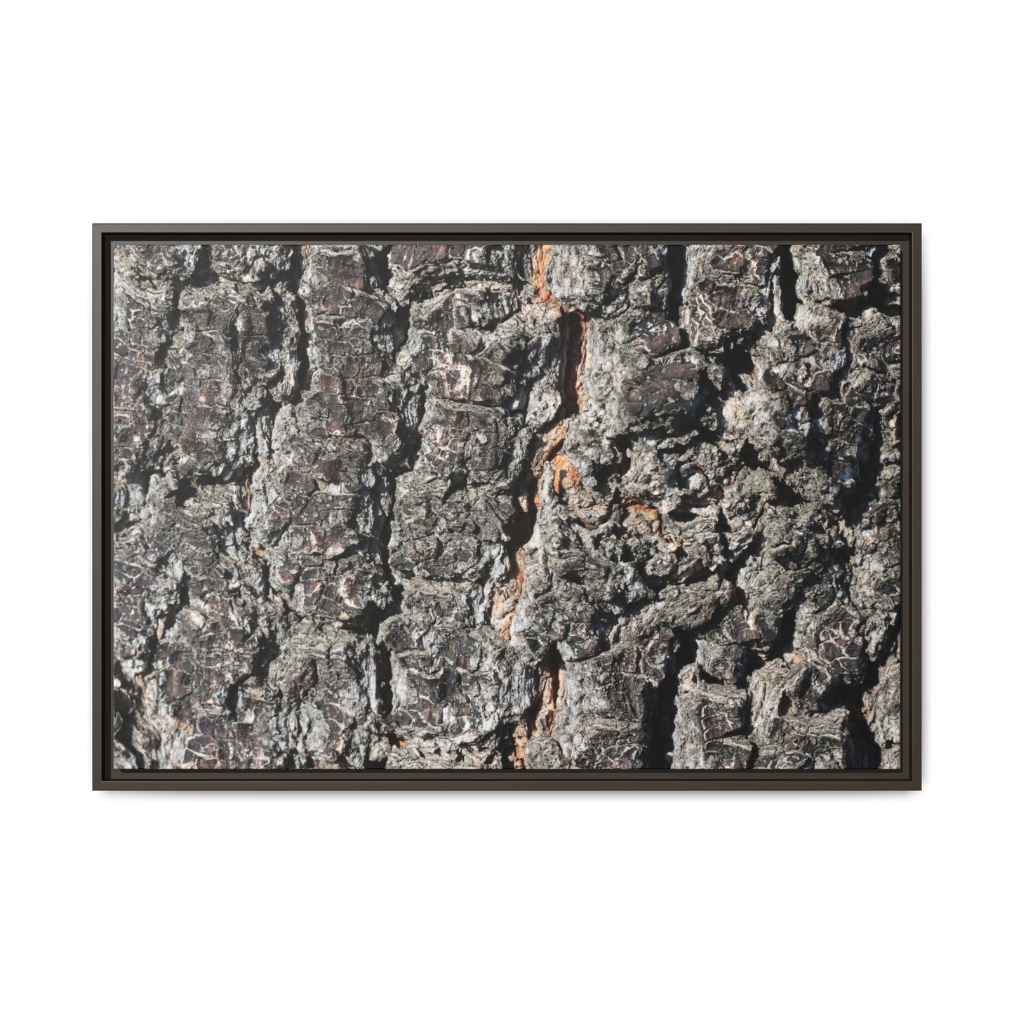 Aged Beauty - Unique Stretched Canvas Wall Art