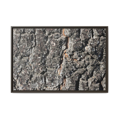 Aged Beauty - Unique Stretched Canvas Wall Art