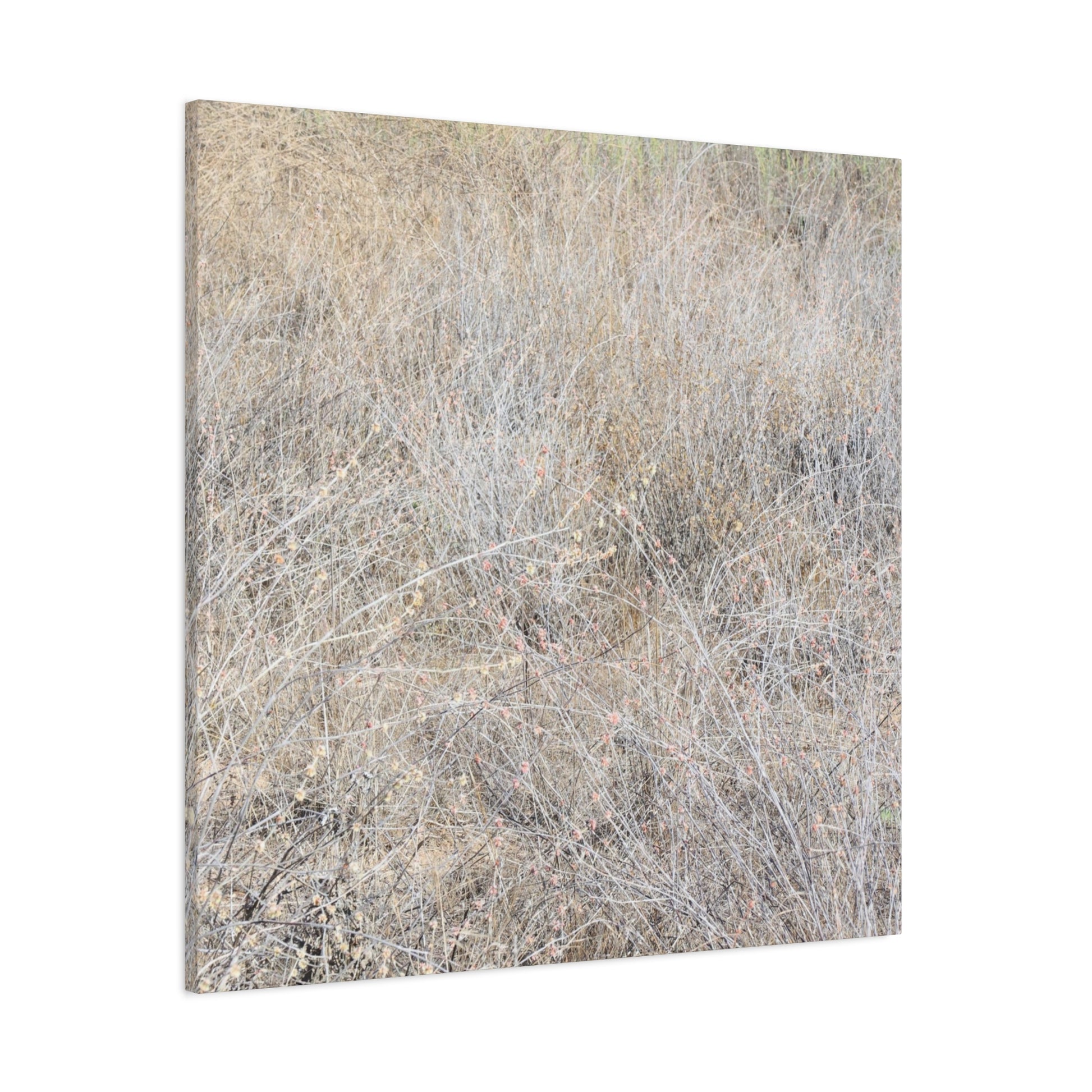 Tangled Whispers of Autumn's Fading Breath - Unique Frameless Canvas Wall Art - Art By Earth