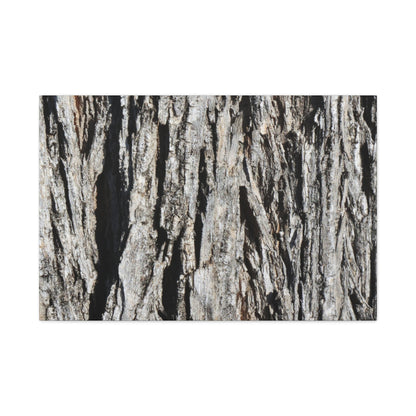 Bark Layers in Monochrome - Unique Frameless Canvas Wall Art