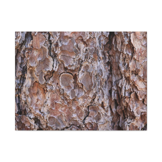 Rugged Bark Landscape - Unique Frameless Canvas Wall Art