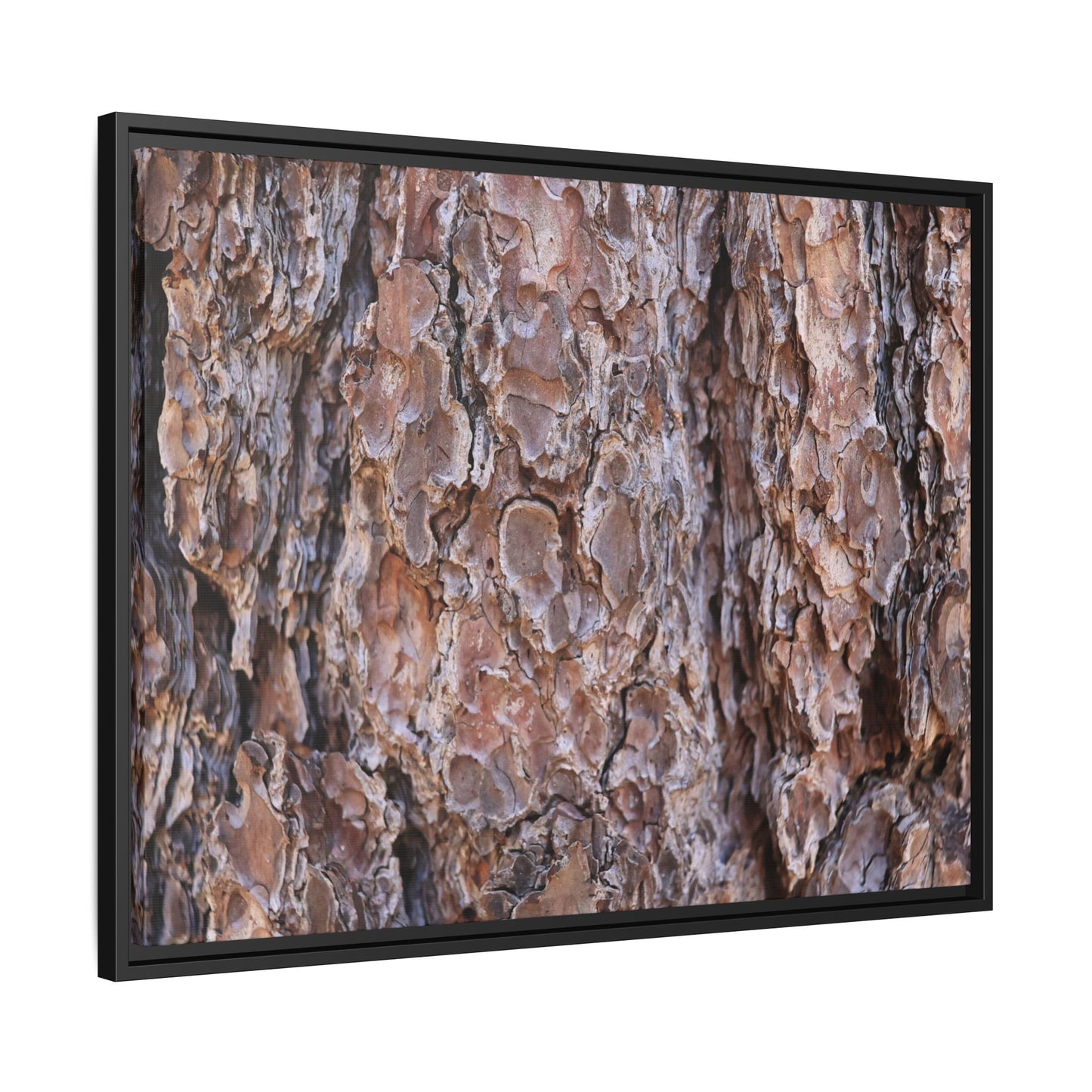 Woody Layers - Unique Stretched Canvas Wall Art