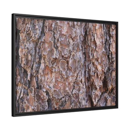 Woody Layers - Unique Stretched Canvas Wall Art
