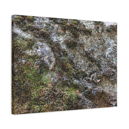 Moss Tapestry - Unique Frameless Canvas Wall Art