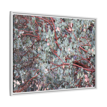 Whispers of Sage - Unique Stretched Canvas Wall Art