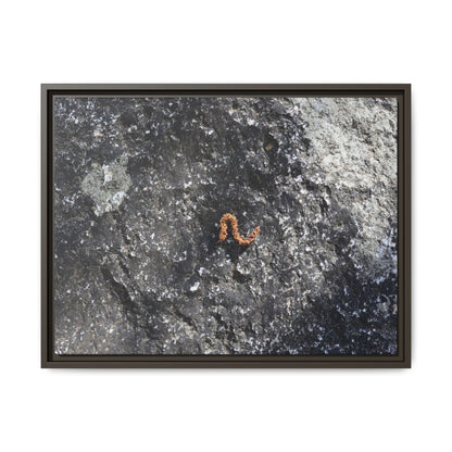 Volcanic Ash and Copper - Unique Stretched Canvas Wall Art