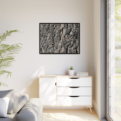 Aged Beauty - Unique Stretched Canvas Wall Art