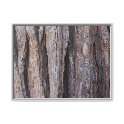Ancient Grains - Unique Stretched Canvas Wall Art