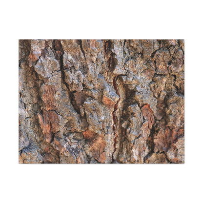 Roots of Time - Unique Frameless Canvas Wall Art