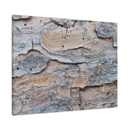 Textural Geology - Unique Frameless Canvas Wall Art