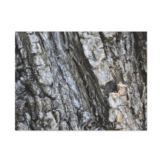Nature's Rough Embrace - Unique Frameless Canvas Wall Art