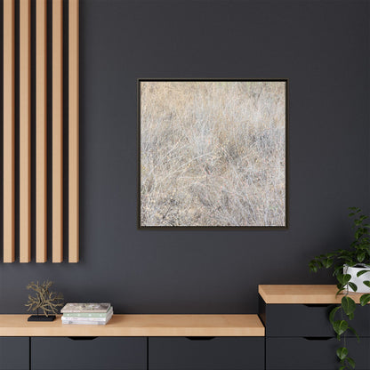 Whispers of Dry Grass - Unique Stretched Canvas Wall Art - Art By Earth
