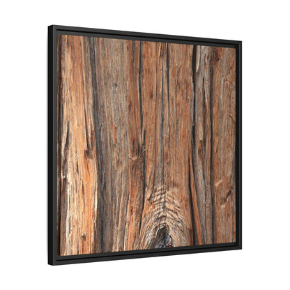 Echoes of Timber - Unique Stretched Canvas Wall Art