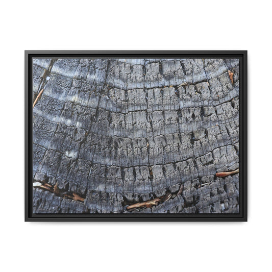 Charred Memories - Unique Poster Wall Art