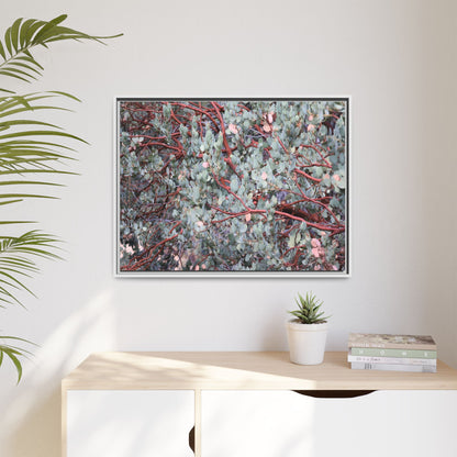 Whispers of Sage - Unique Stretched Canvas Wall Art