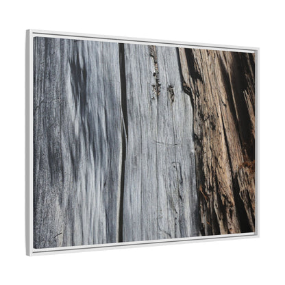 Wood's Lament - Unique Stretched Canvas Wall Art