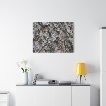 Cracked Echoes - Unique Frameless Canvas Wall Art
