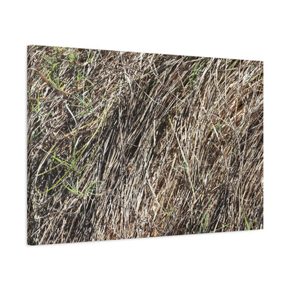 Tangled Wilderness - Unique Stretched Canvas Wall Art - Art By Earth