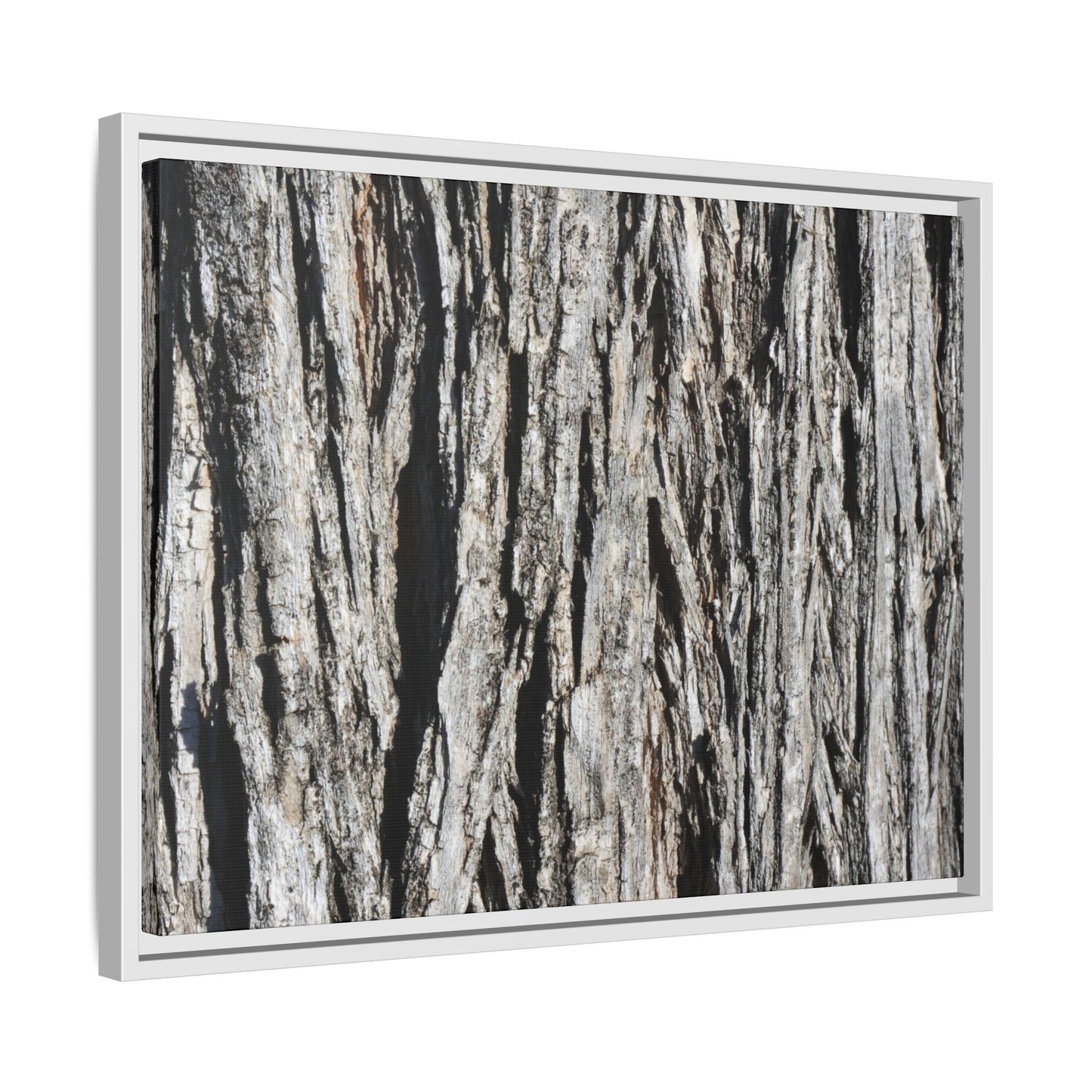 Nature's Abstract - Unique Stretched Canvas Wall Art