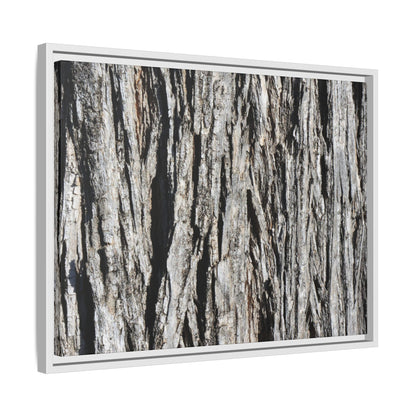 Nature's Abstract - Unique Stretched Canvas Wall Art