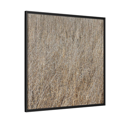 Whispers of Straw - Unique Stretched Canvas Wall Art - Art By Earth